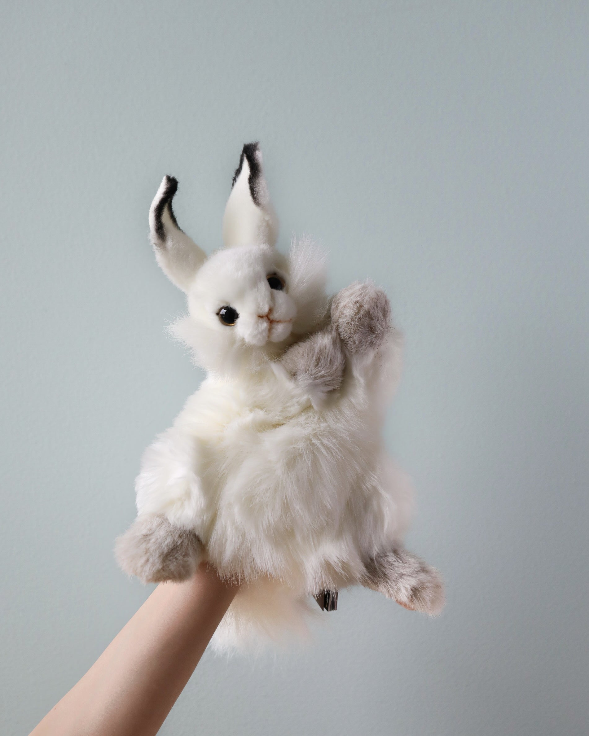 Bunny Puppet