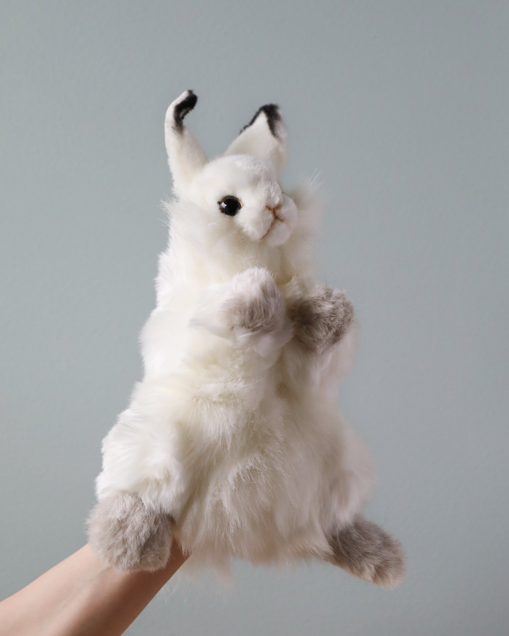 Bunny Puppet