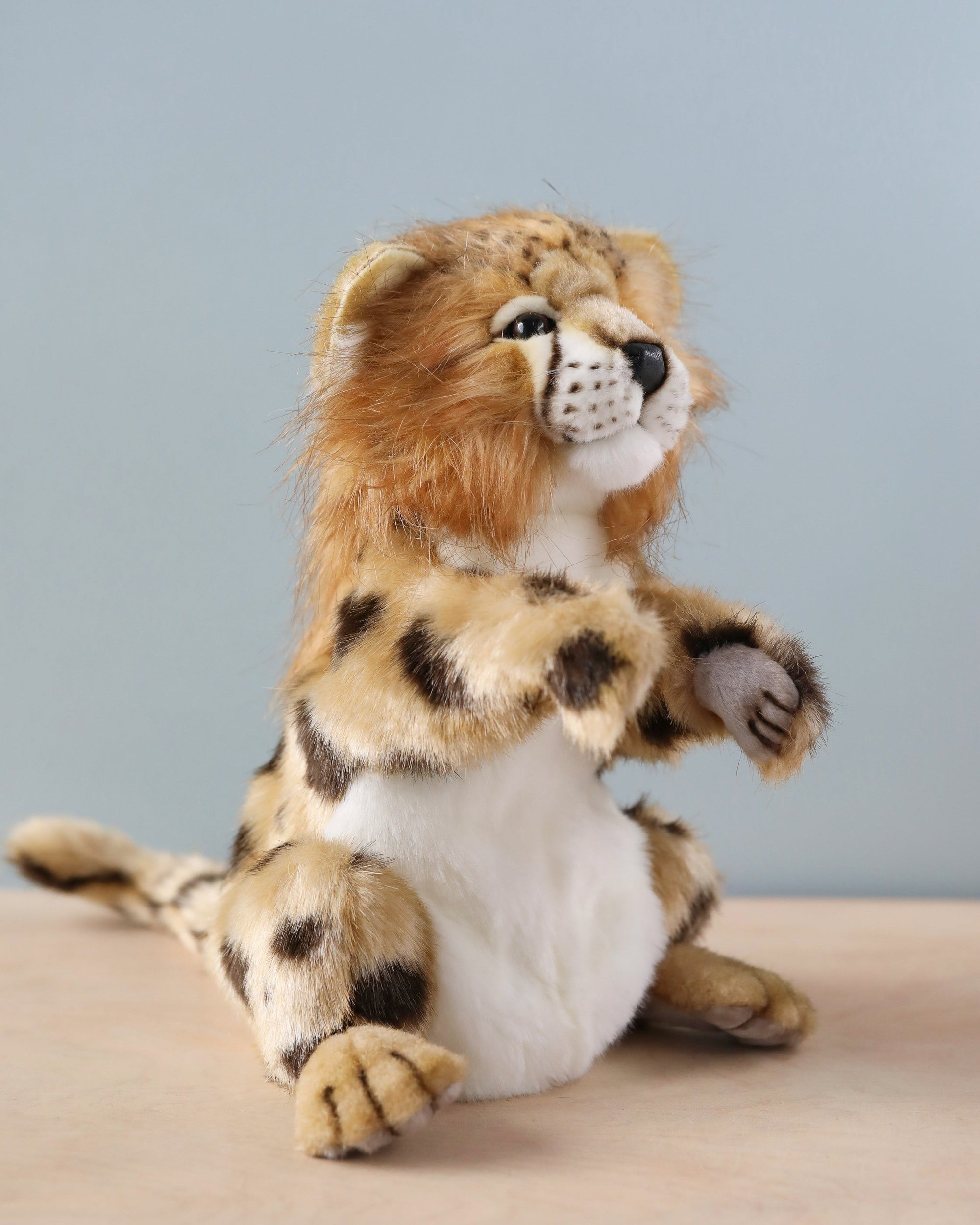Cheetah Puppet