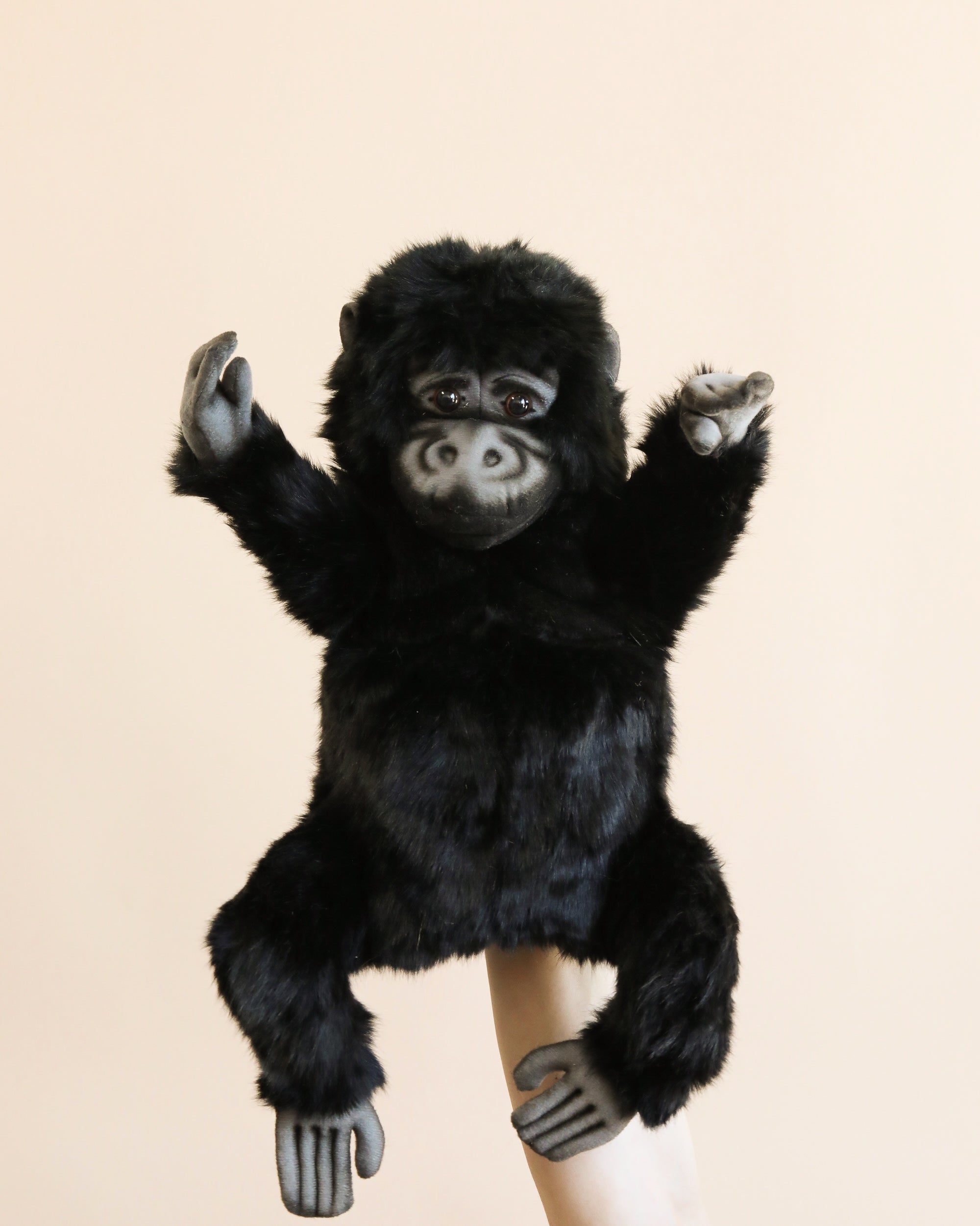 Gorilla Puppet