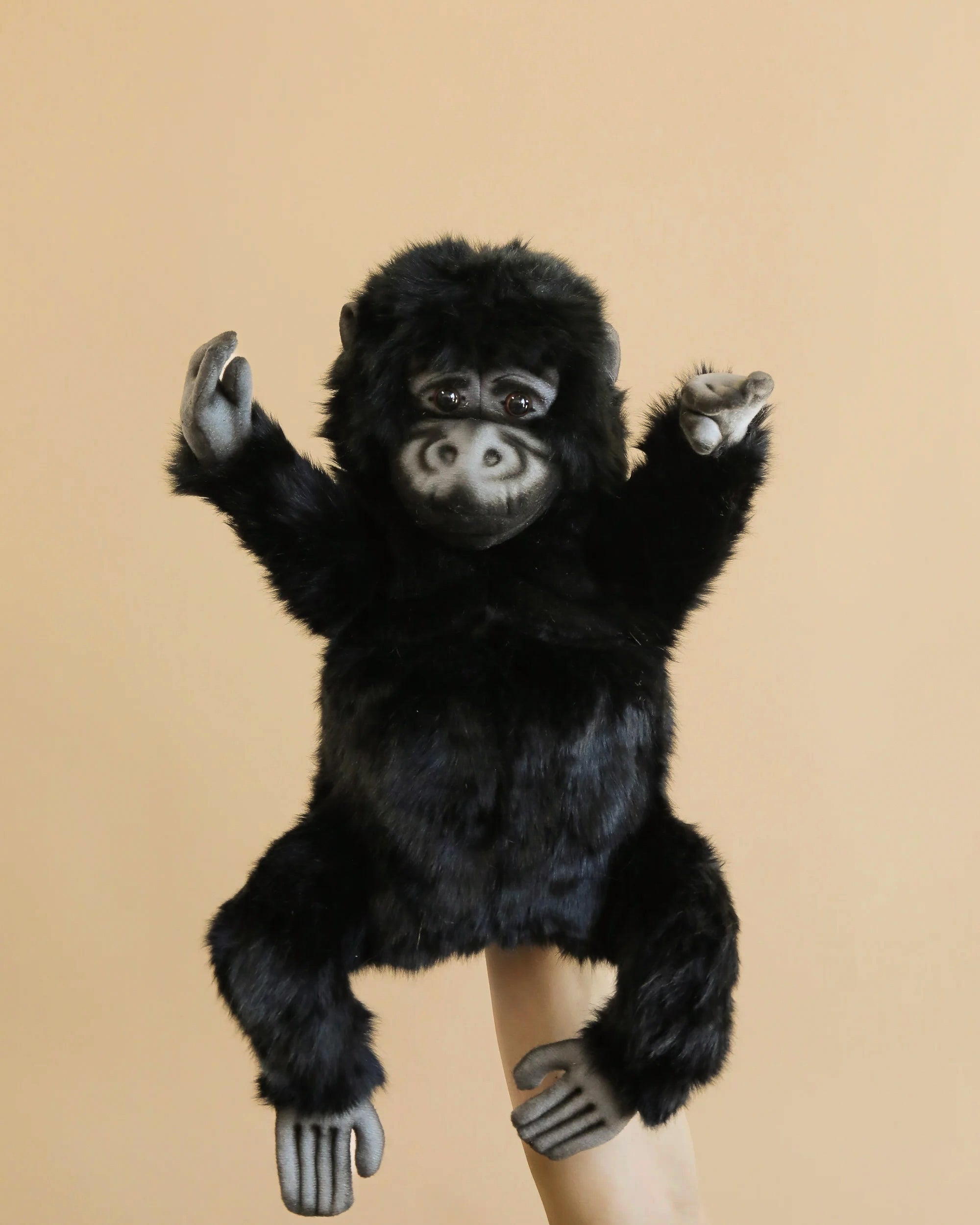 Gorilla Puppet