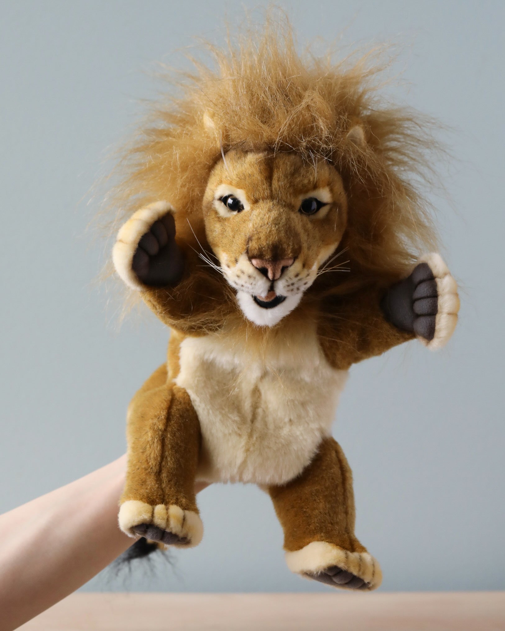 Lion Puppet