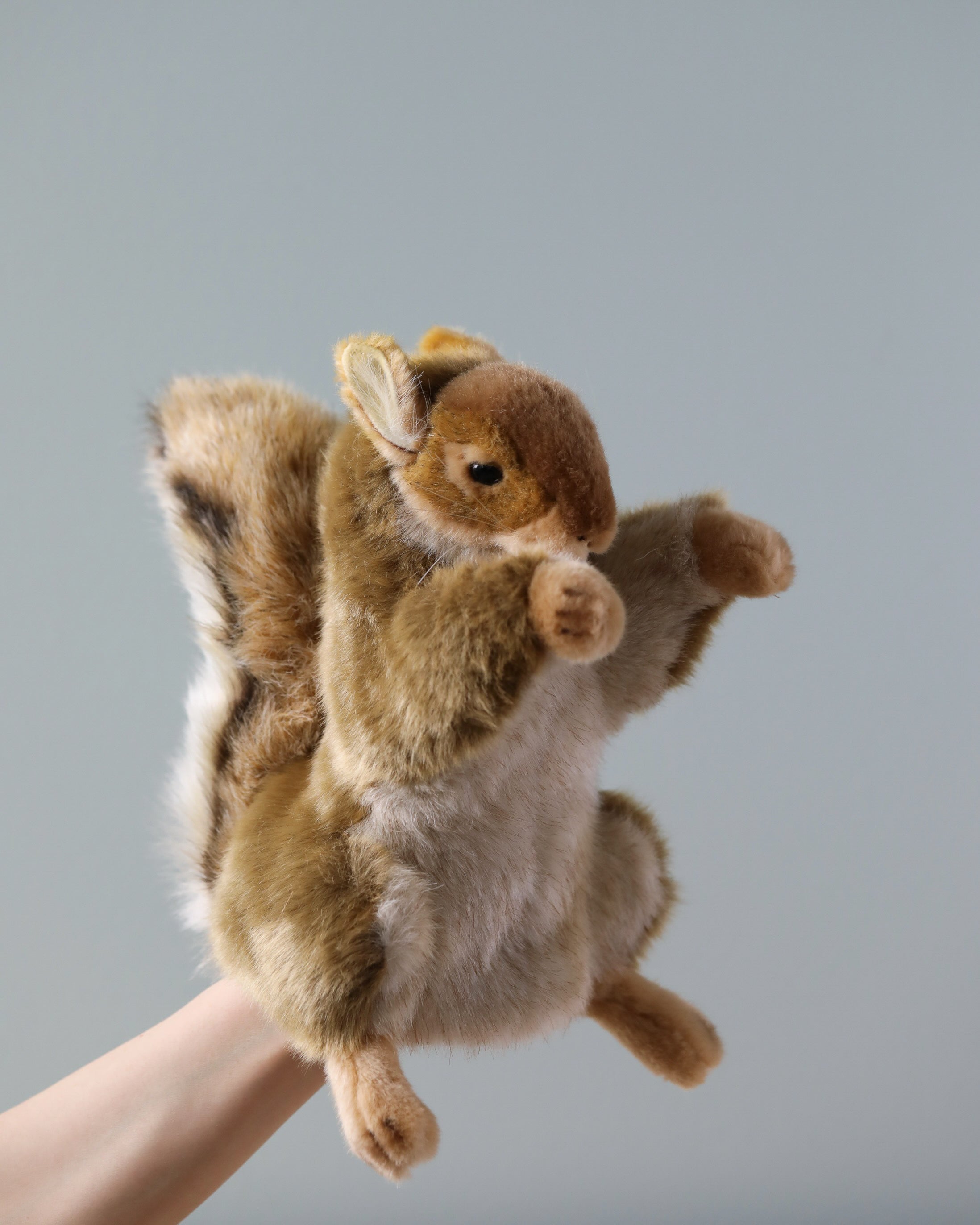 Squirrel Puppet