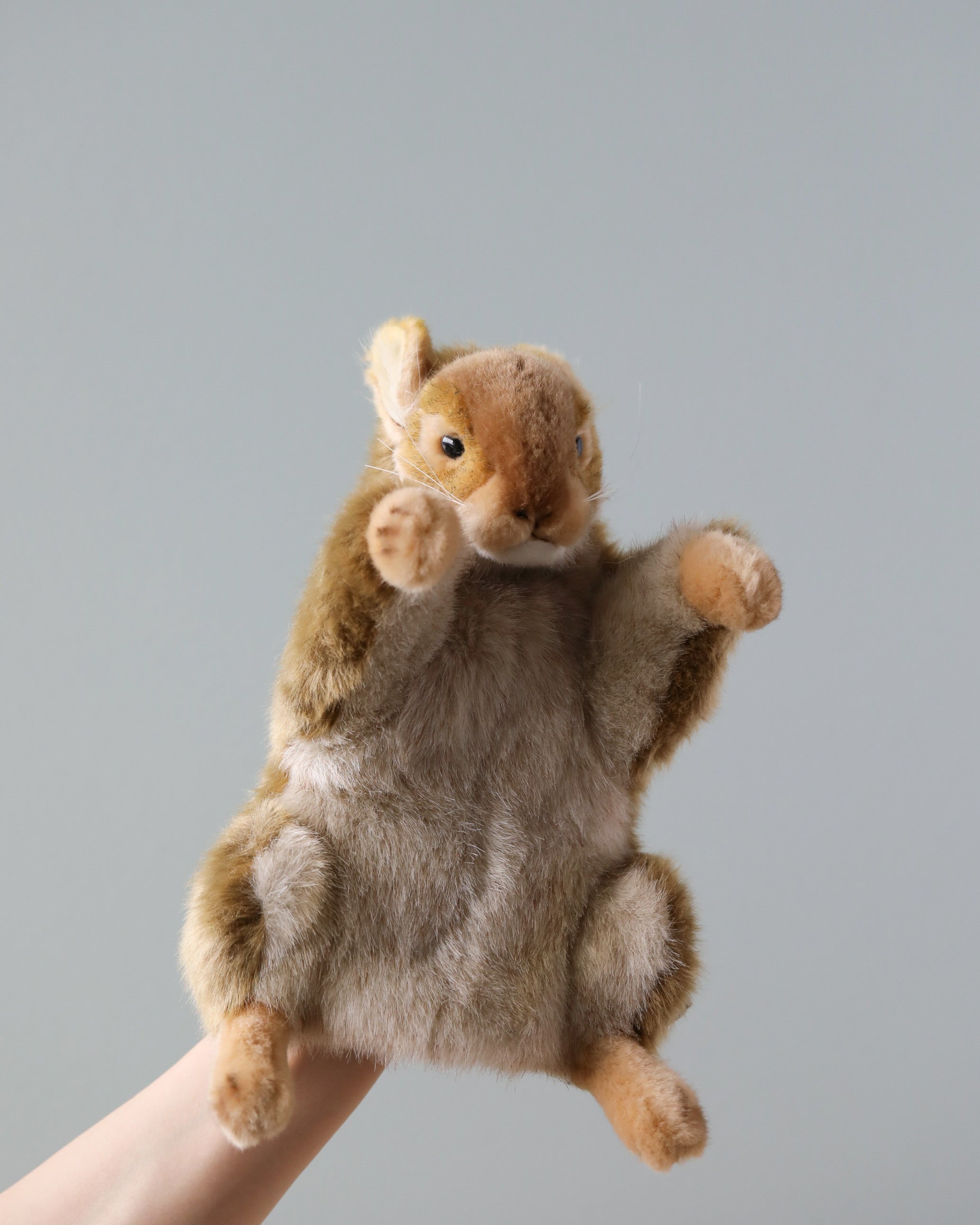 Squirrel Puppet