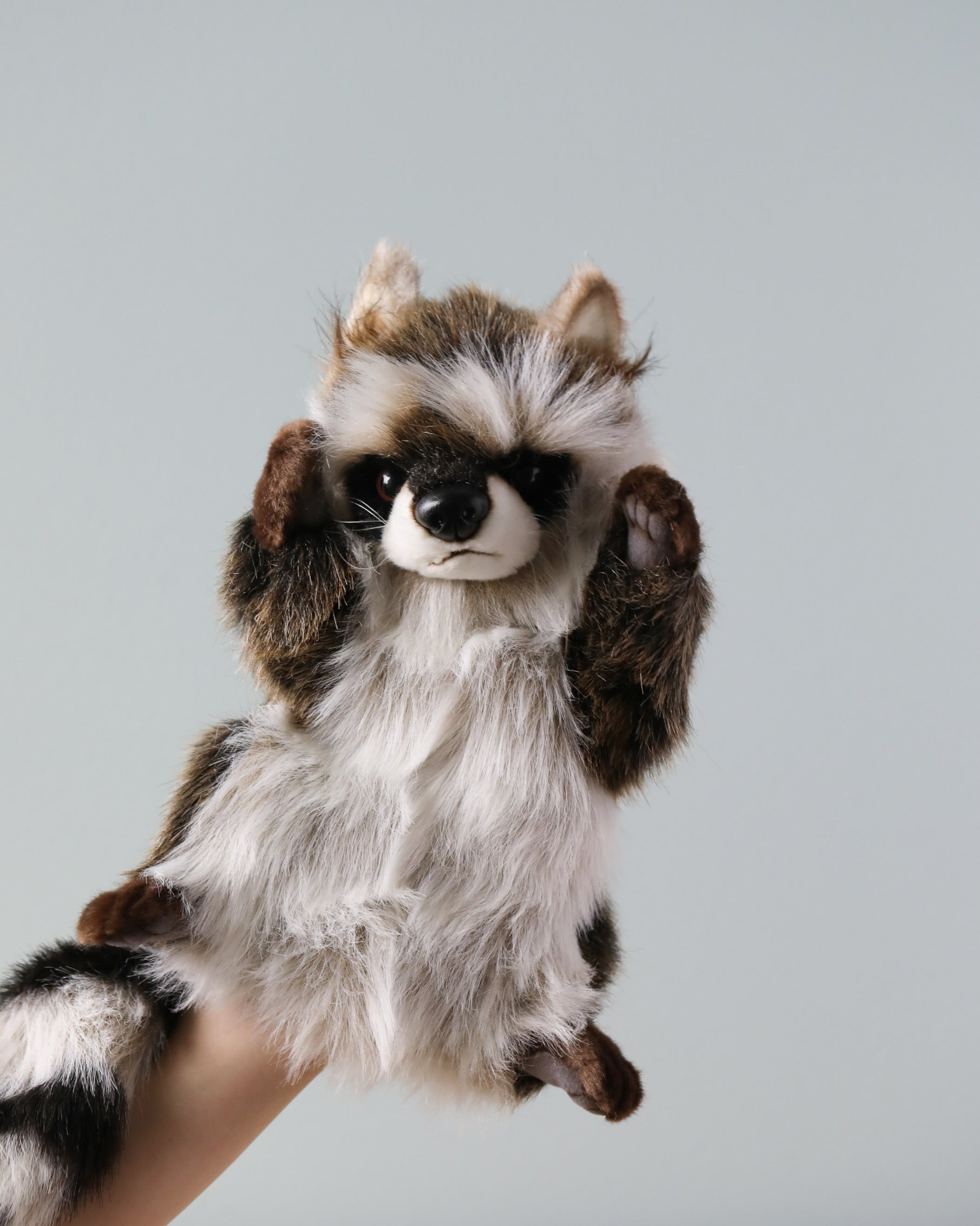 Raccoon Puppet