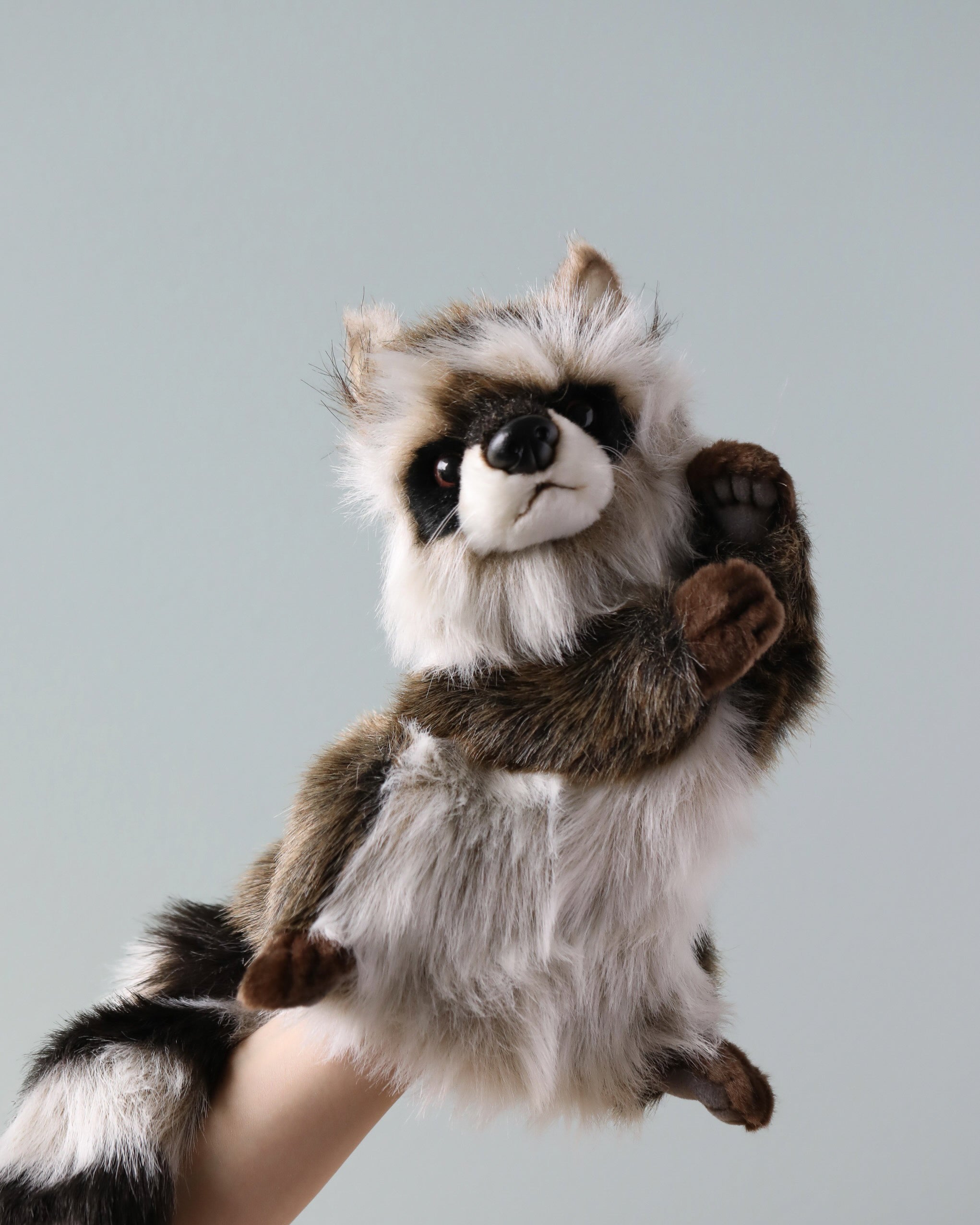 Raccoon Puppet