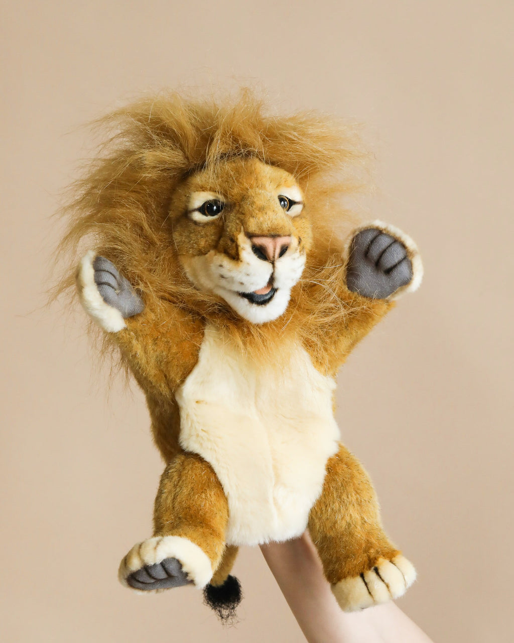Lion Puppet