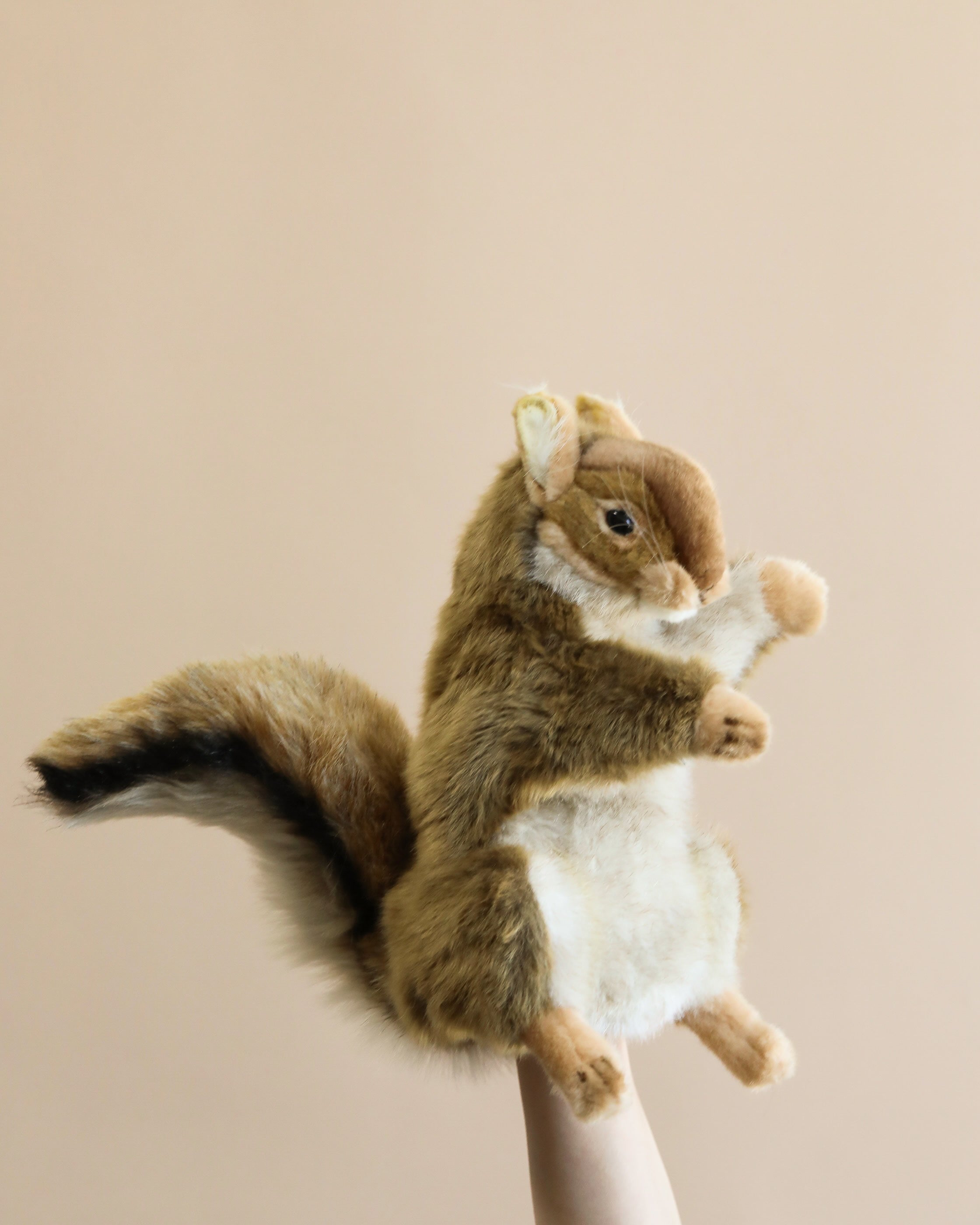 Squirrel Puppet