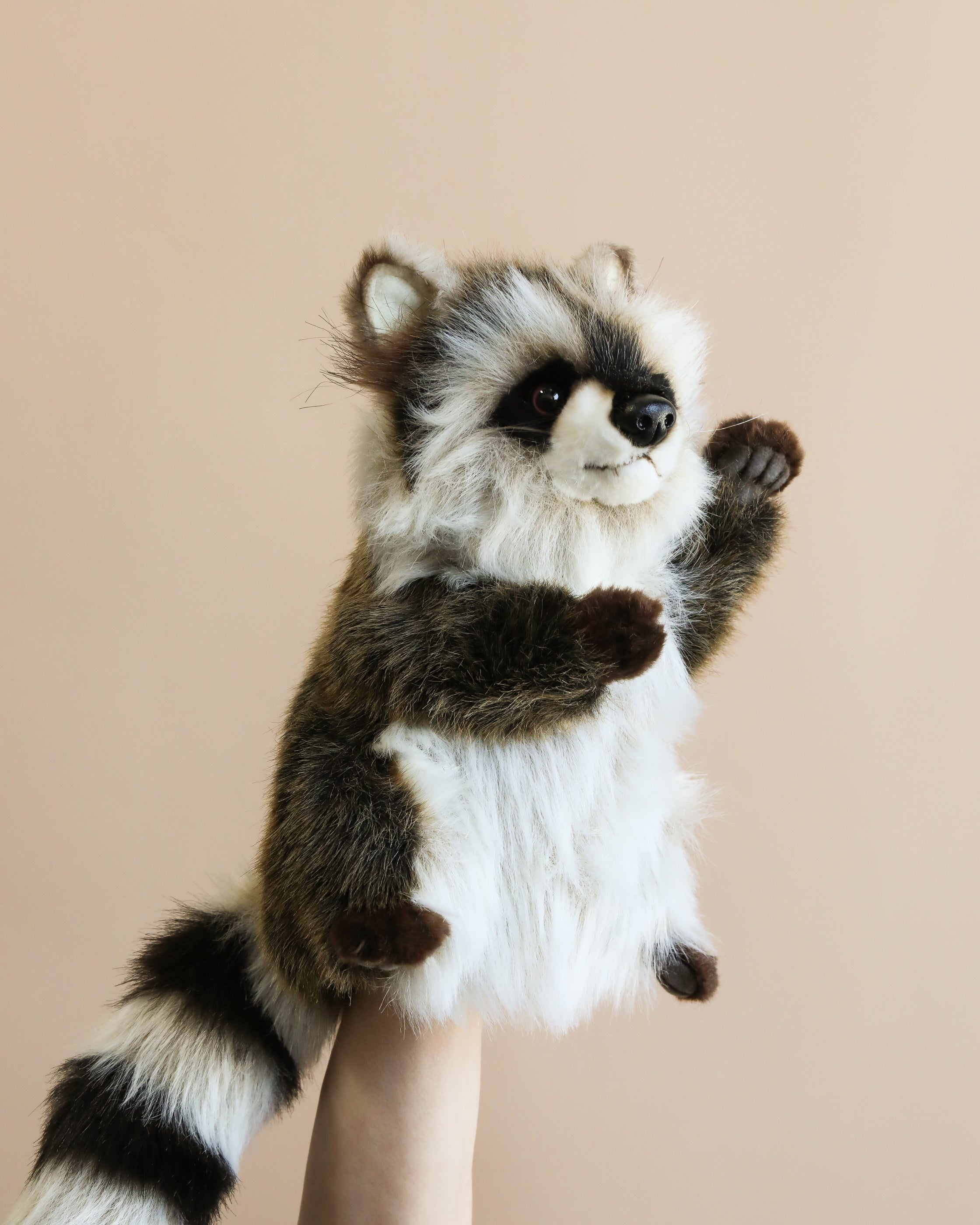 Raccoon Puppet