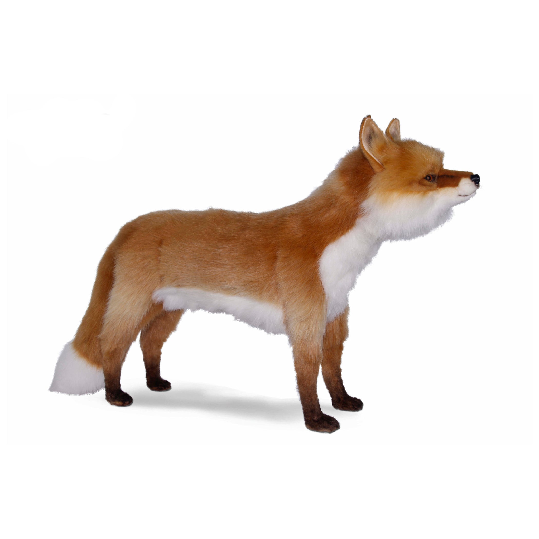 Large Mama Fox