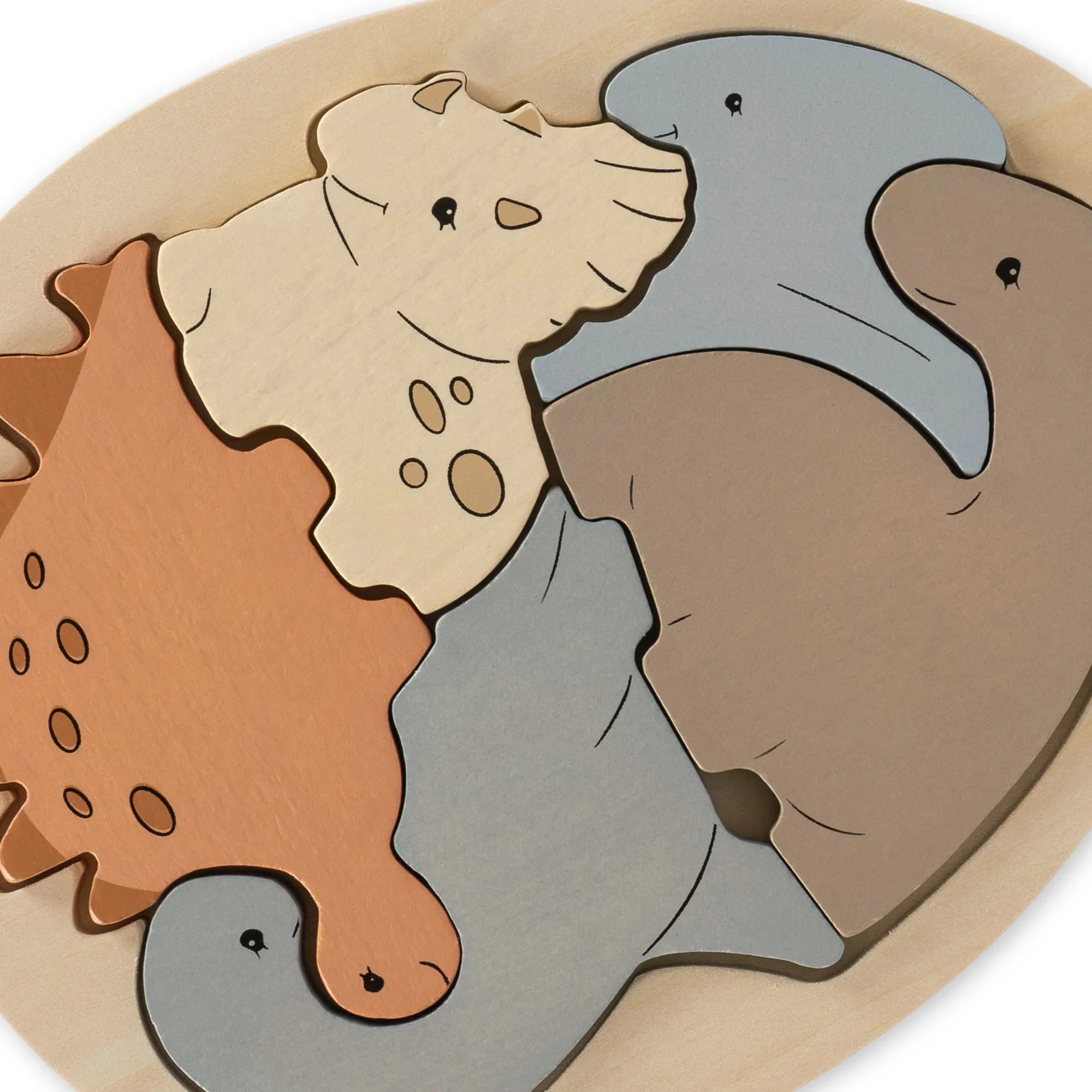 Dinosaur Egg Puzzle