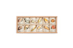 Grapat Wild Exploration Play Set